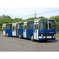 BPI-183 IKARUS 280 autóbusz (ARV2018023)