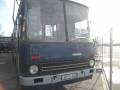 BPO-458 IKARUS 280.49 autóbusz / ARV2023119