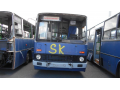 BPI-188 IKARUS 280.49 autóbusz / ARV2023565