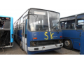 BPI-990 IKARUS 280 autóbusz / ARV2023570