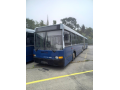 BPI-960 IKARUS 435.06 autóbusz / ARV20247101